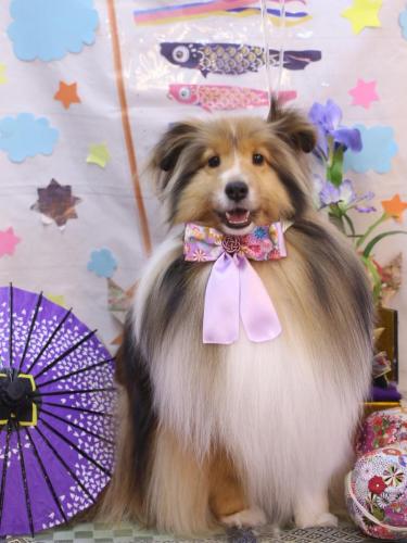 20240530ノアくん